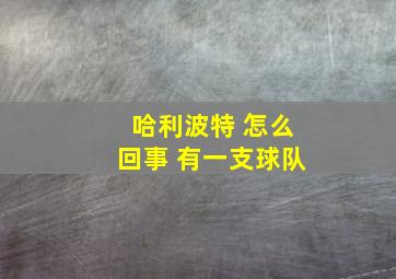 哈利波特 怎么回事 有一支球队